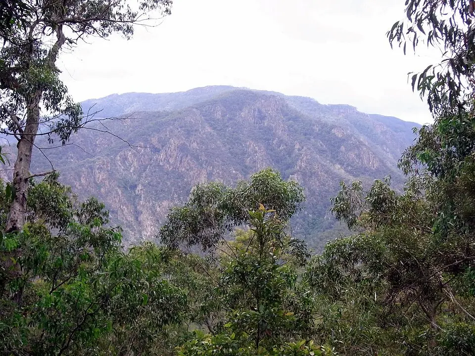 Wadbilliga National Park