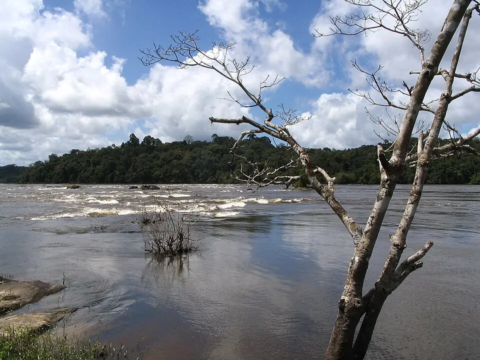 Tumucumaque National Park