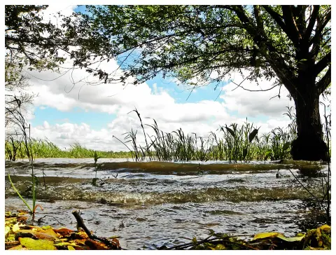 Esteros de Farrapos e Islas del Río Uruguay National Park