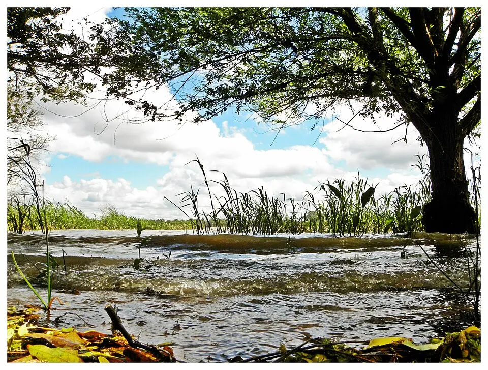 Esteros de Farrapos e Islas del Río Uruguay National Park