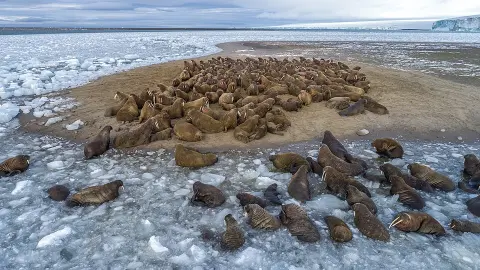 Russian Arctic National Park