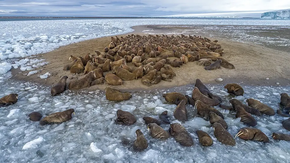 Russian Arctic National Park