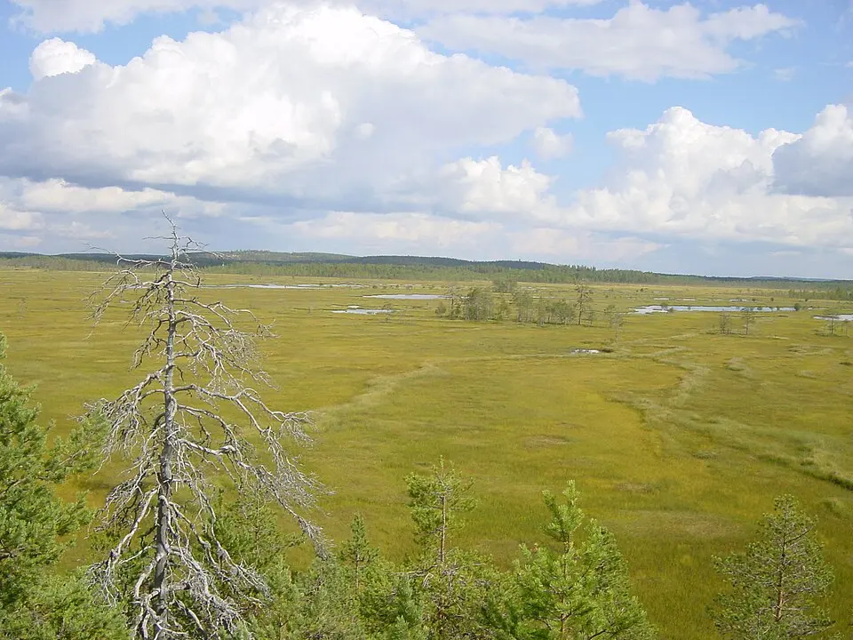 Patvinsuo National Park