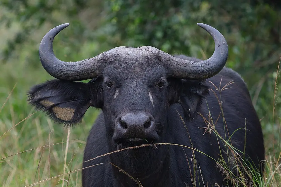 Lake Mburo National Park
