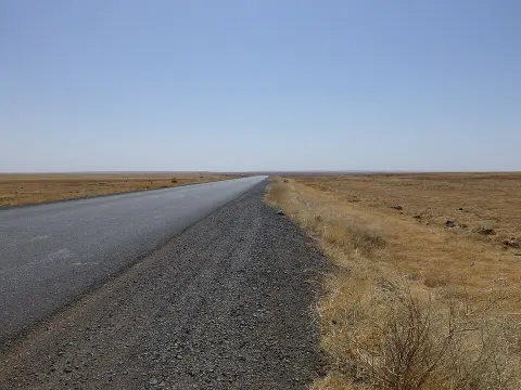 Yangudi Rassa National Park