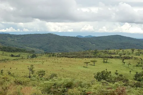 Nyika National Park