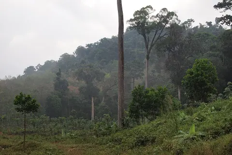 Khao Lak-Lam Ru National Park