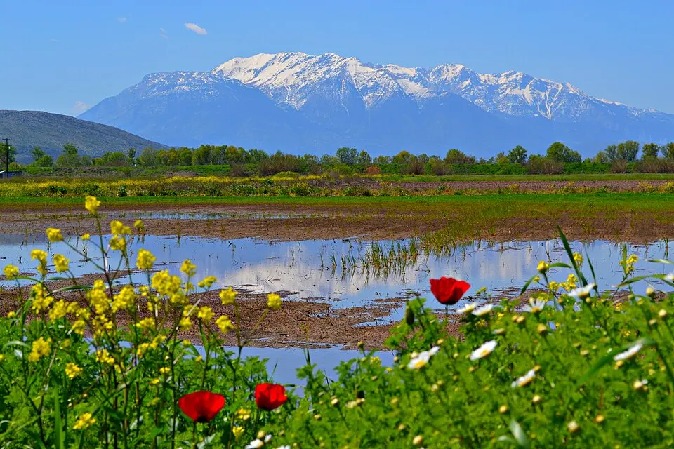 Parnassos National Park