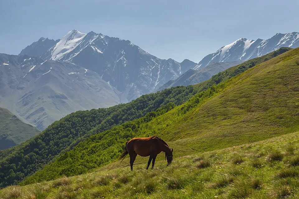 Pshav-Khevsureti National Park