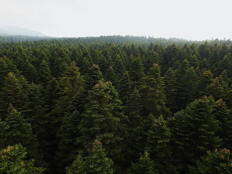 Uludağ National Park