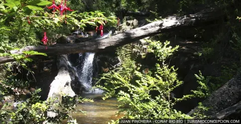 Nonguén National Park