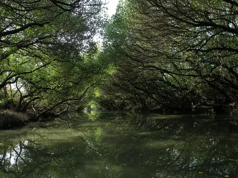 Taijiang National Park