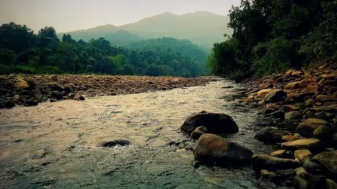 Simlipal National Park