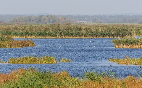Ujście Warty National Park