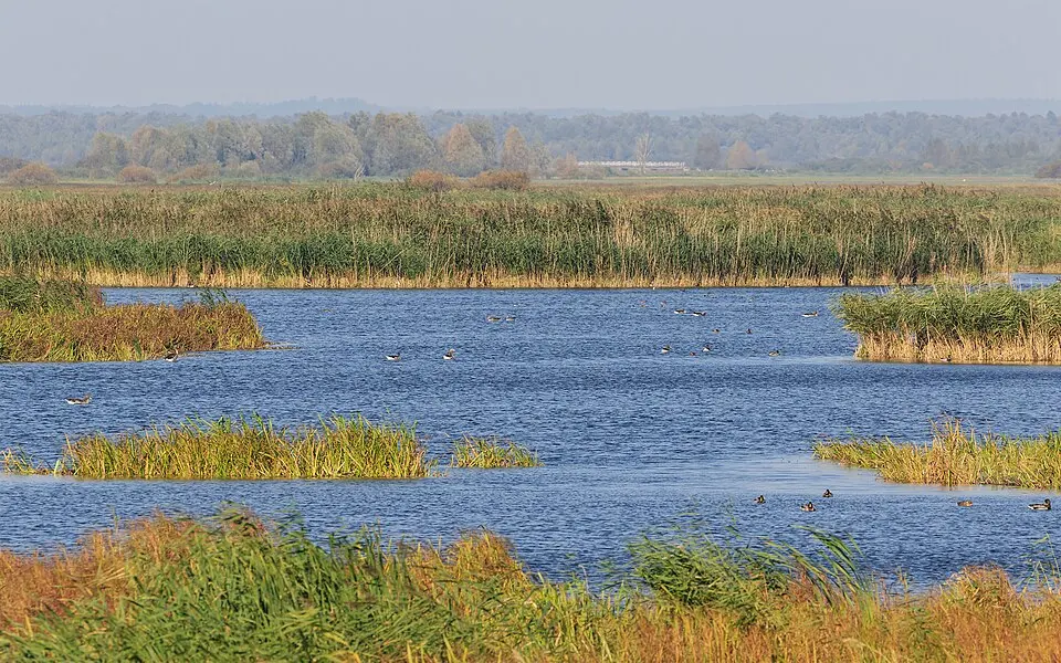 Ujście Warty National Park