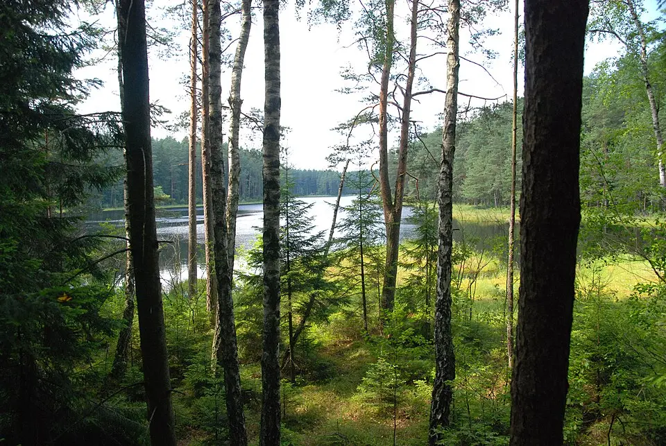 Wigry National Park