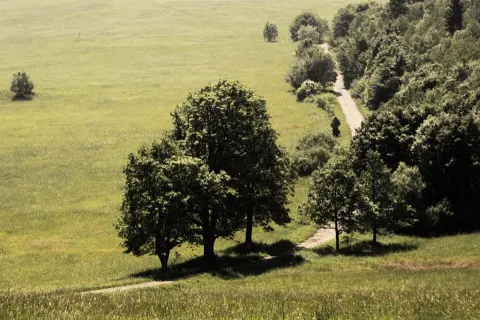 Magura National Park