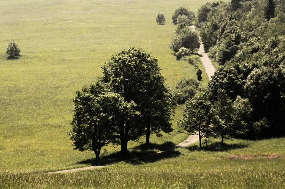 Magura National Park