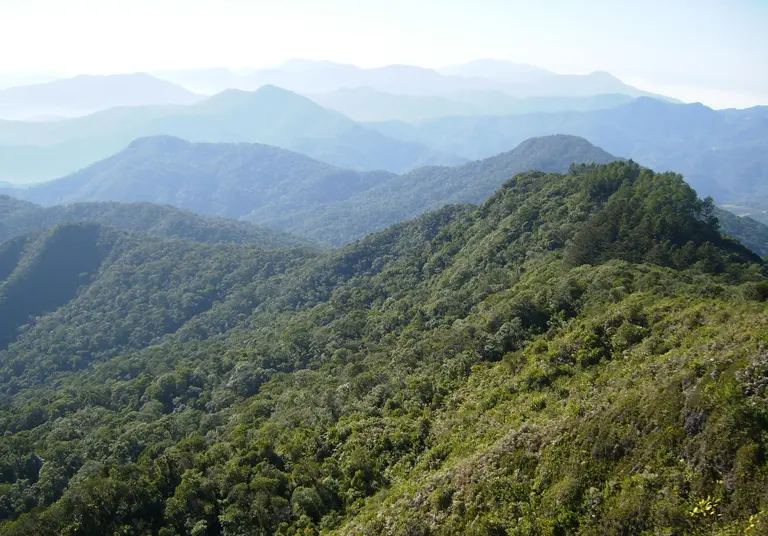 Serra do Itajaí National Park