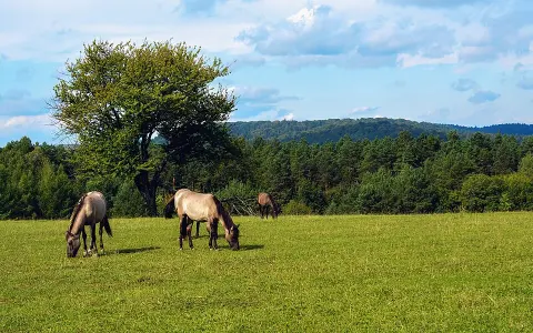 Roztocze National Park