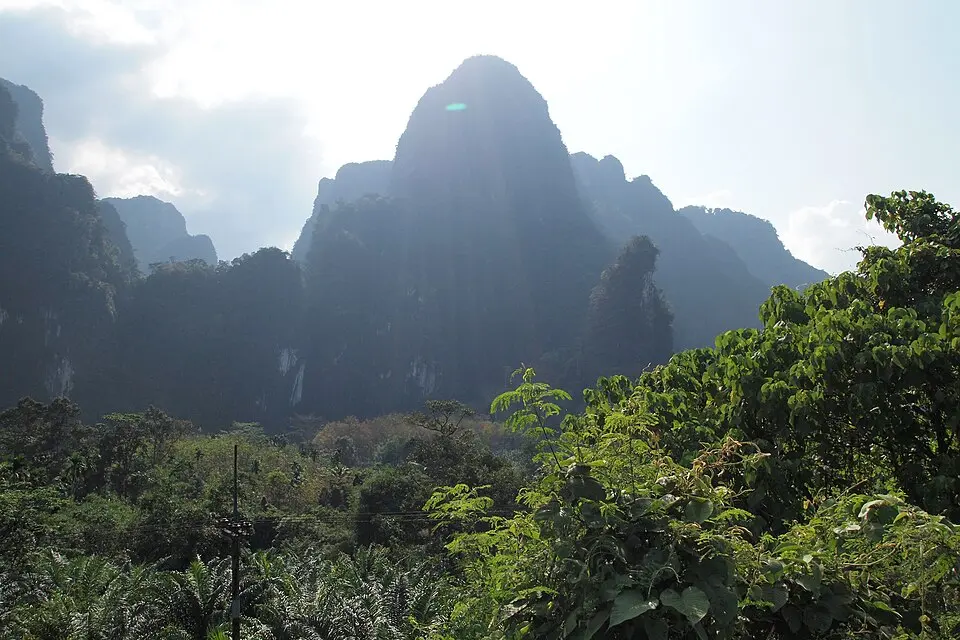 Khlong Phanom National Park