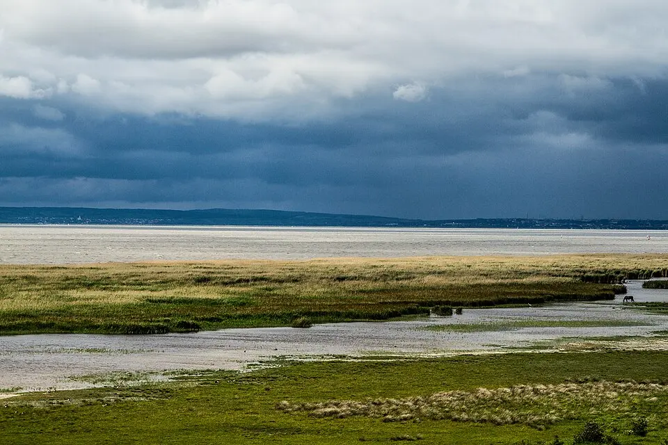 Neusiedler See-Seewinkel National Park