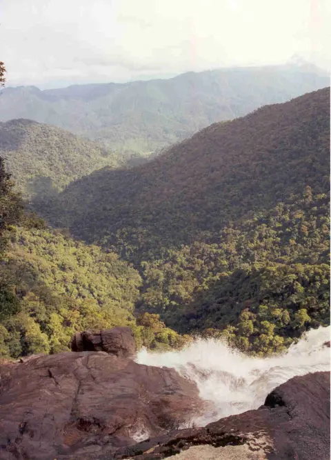 Bach Ma National Park