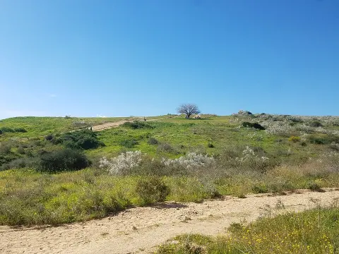 Parc national des collines de kourkar de Ness Ziona