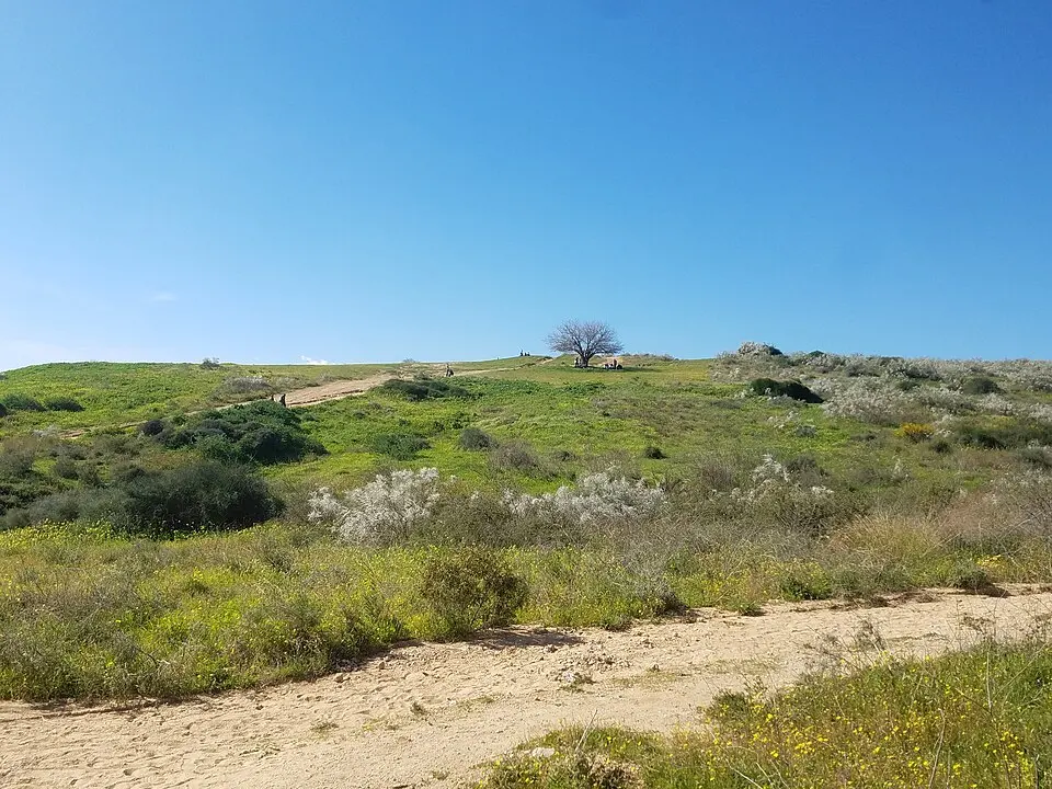 Parc national des collines de kourkar de Ness Ziona