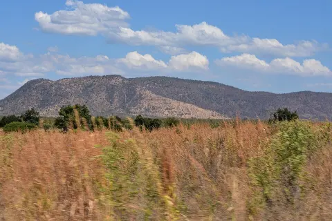 Ruaha National Park