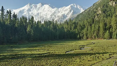 Fairy Meadows National Park