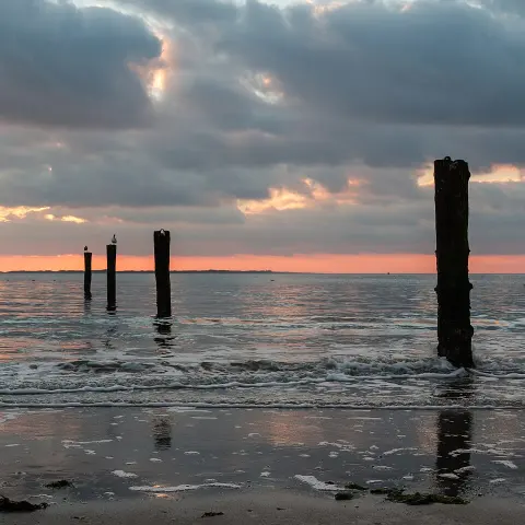 Lower Saxon Wadden Sea National Park