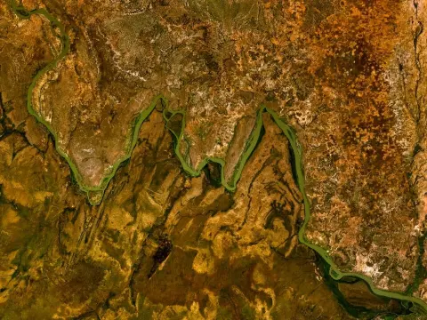 W National Park of Niger