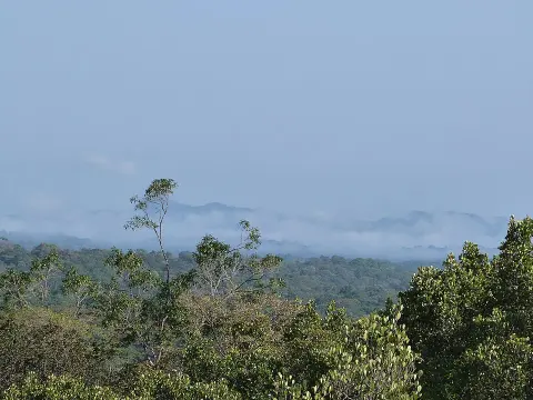 Guiana Amazonian Park