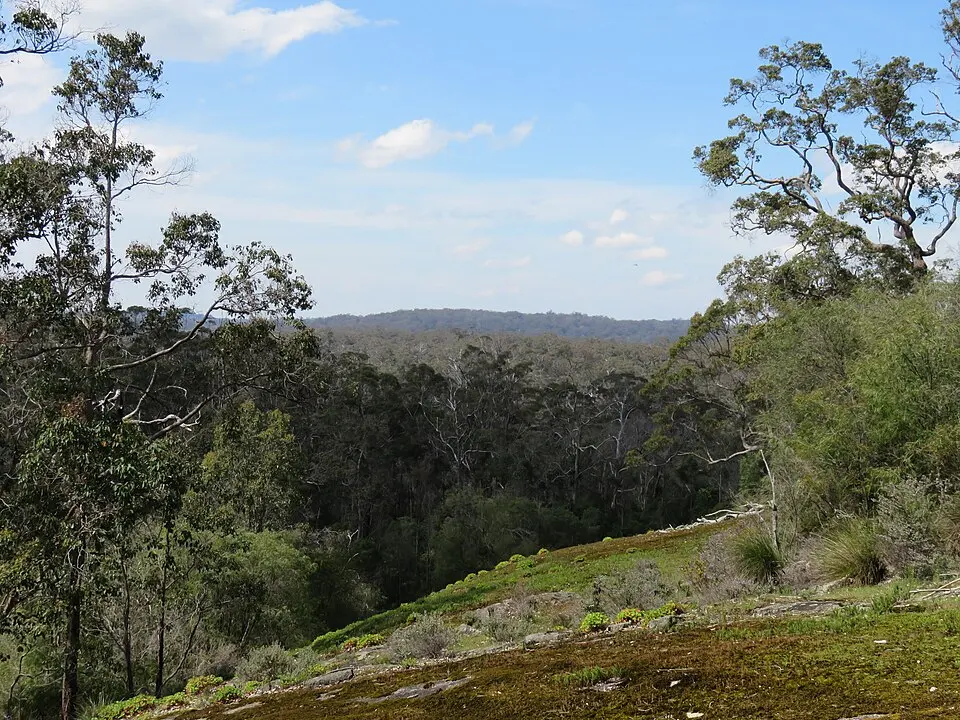 Shannon National Park