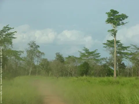 Maduru Oya National Park