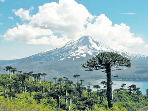 Conguillío National Park