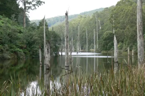 Great Otway National Park