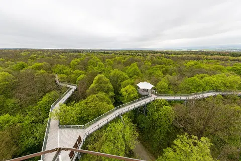 Hainich National Park