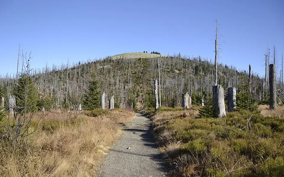 Bavarian Forest National Park