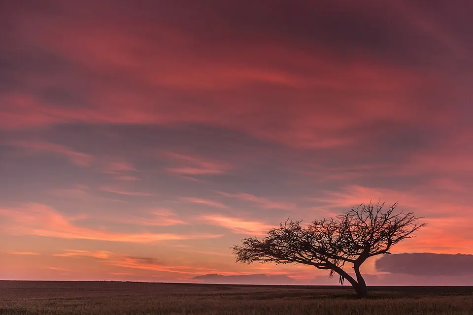 Eshkol National Park