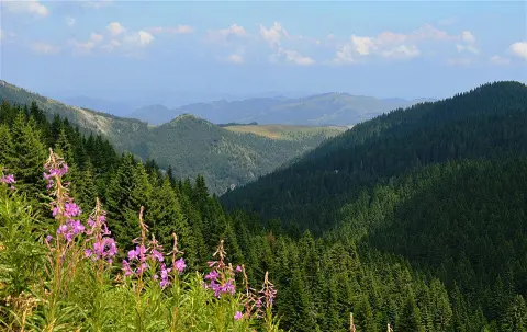 Kopaonik National Park