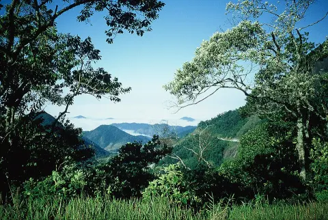 Bocaina Mountain National Park