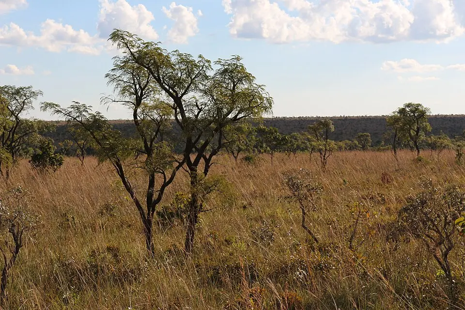 Emas National Park