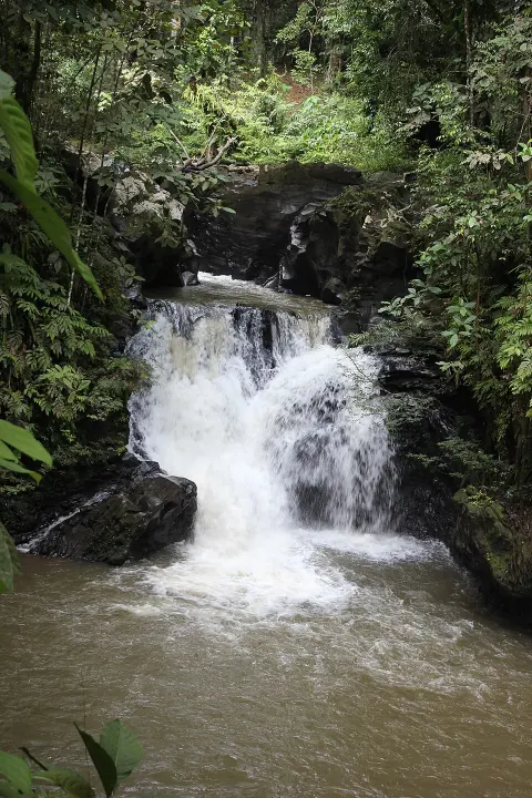 Tawau Hills National Park