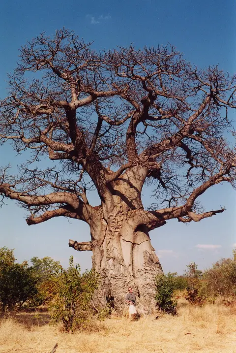 Deux Balés National Park