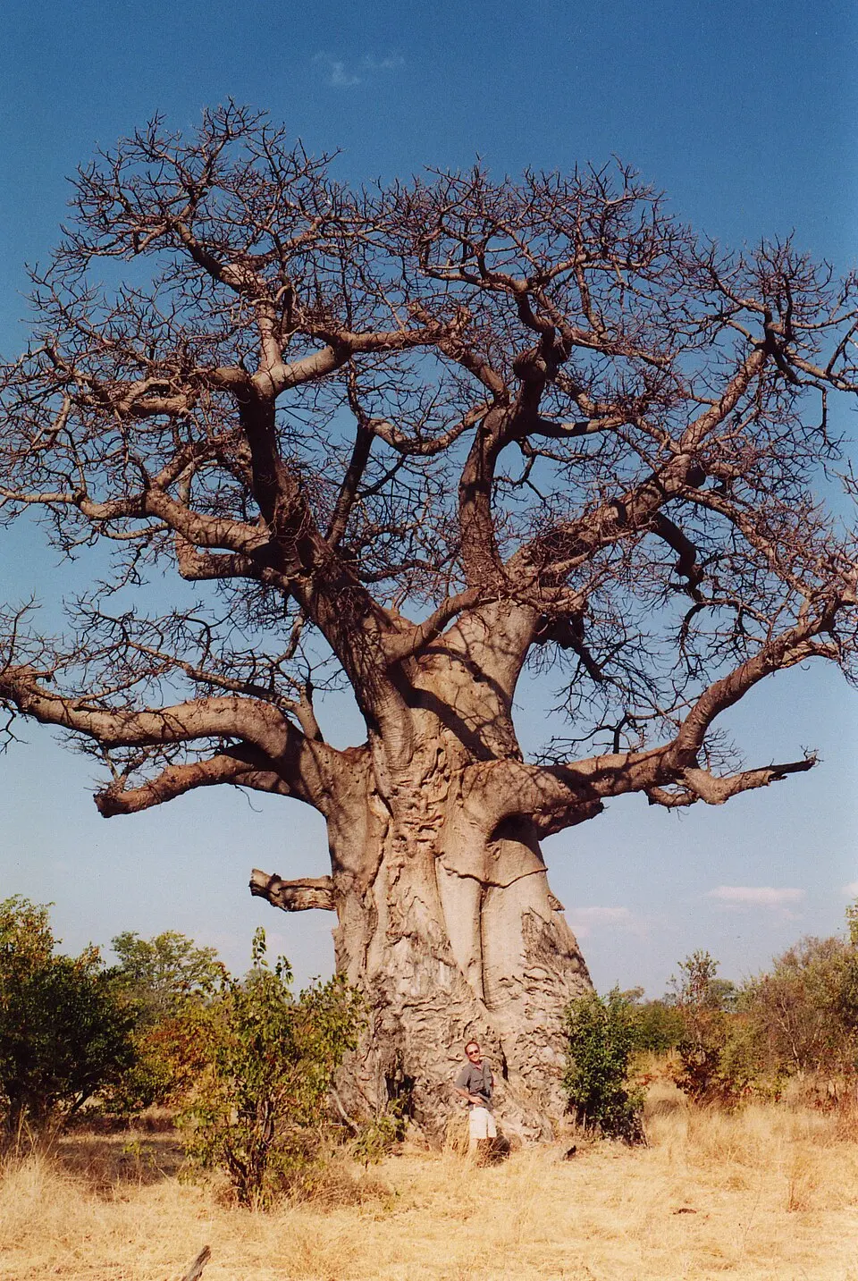 Deux Balés National Park
