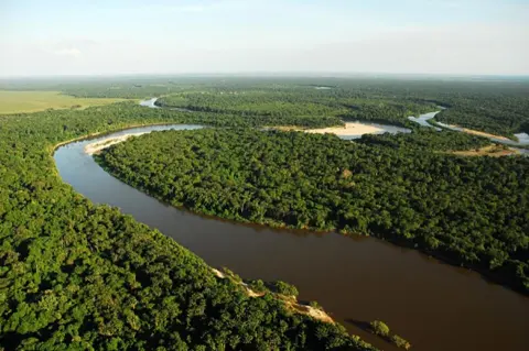 Viruá National Park
