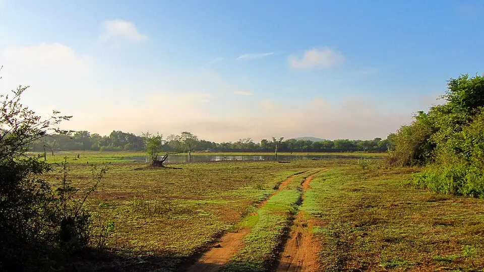 Wasgamuwa National Park