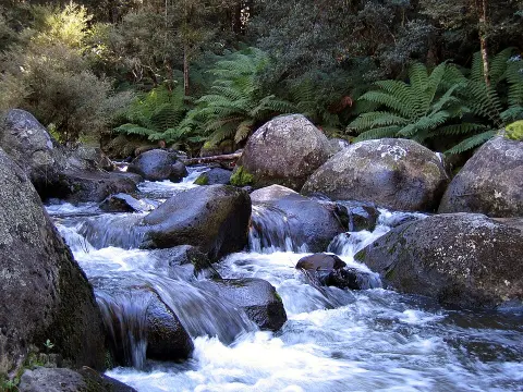Barrington Tops National Park